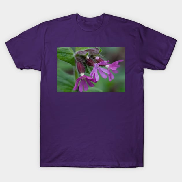 English Wild Flowers - Red Campion T-Shirt by Violaman